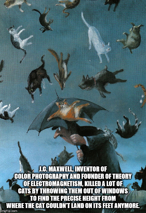 funny raining cats and dogs - J.C. Maxwell, Inventor Of Color Photography And Founder Of Theory Of Electromagnetism, Killed A Lot Of Cats By Throwing Them Out Of Windows To Find The Precise Height From Where The Cat Couldn'T Land On Its Feet Anymore. imgf