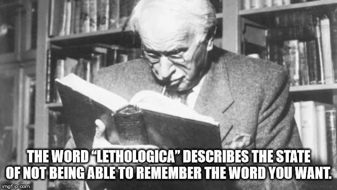 carl jung professor - The Word "Lethologica" Describes The State Of Not Being Able To Remember The Word You Want. imgflip.com