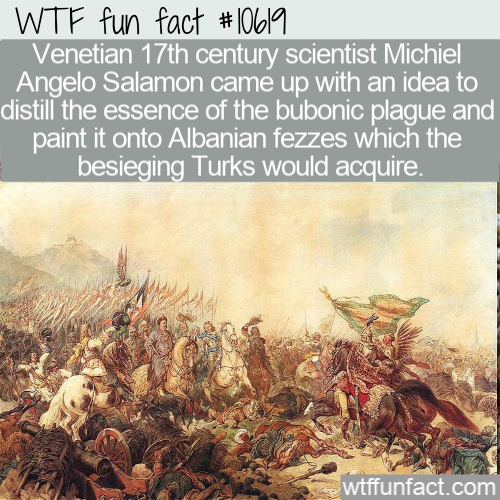 facts - battle of vienna - Wtf fun fact Venetian 17th century scientist Michiel Angelo Salamon came up with an idea to distill the essence of the bubonic plague and paint it onto Albanian fezzes which the besieging Turks would acquire. wtffunfact.com