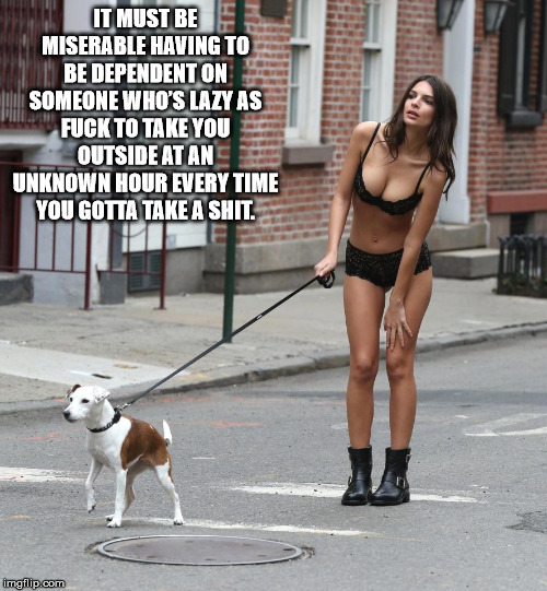 emily ratajkowski walking a dog in nyc - It Must Bee Miserable Having To Be Dependent On Someone Who'S Lazy As Fuck To Take You Outside At An Unknown Hour Every Time You Gotta Take A Shit. imgflip.com