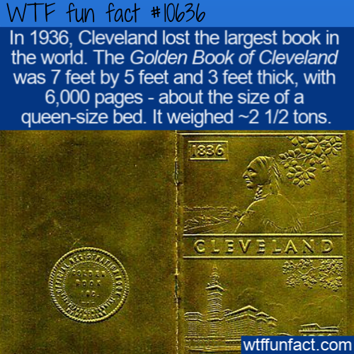 50 Fantabulous Fun Facts From The Web