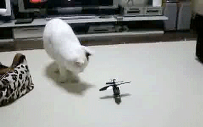 helicopter funny gif
