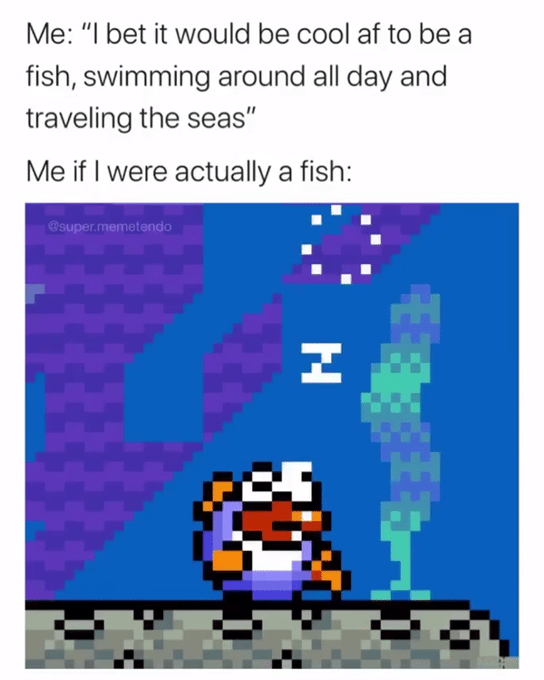 nintendo sleep gif - Me "I bet it would be cool af to be a fish, swimming around all day and traveling the seas" Me if I were actually a fish Cupendo