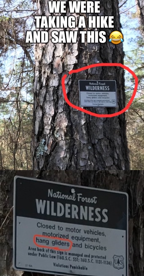 tree - We Were King A Hike Erland Saw This National Forest Wilderness motored equipment fang ders and b e National Forest Wilderness Closed to motor vehicles, motorized equipment, hang gliders and bicycles Area back of this sign is managed and protect und