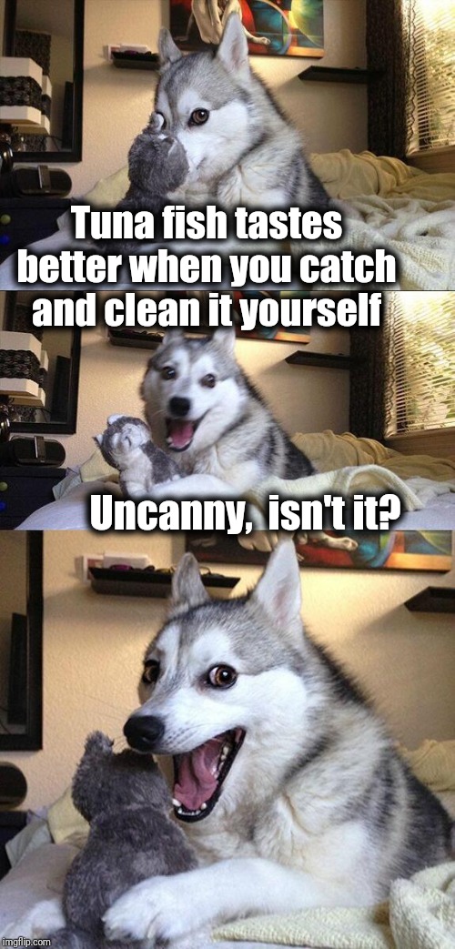 funny dog quotes - Tuna fish tastes better when you catch and clean it yourself Uncanny, isn't it? imgflip.com