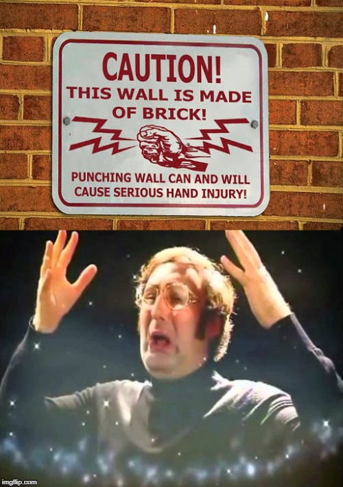 Caution! This Wall Is Made Of Brick! Punching Wall Can And Will Cause Serious Hand Injury! imgflip.com