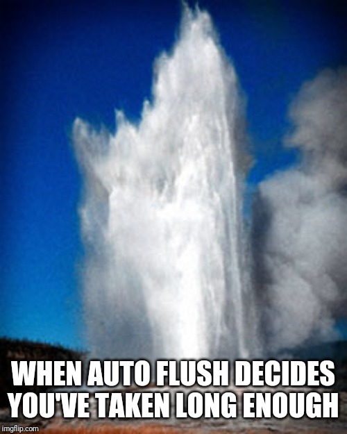 sky - When Auto Flush Decides You'Ve Taken Long Enough imgflip.com