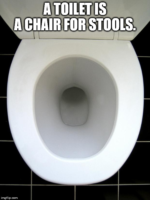Toilet - A Toilet Is A Chair For Stools. imgflip.com