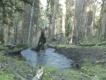 funny puddle gifs