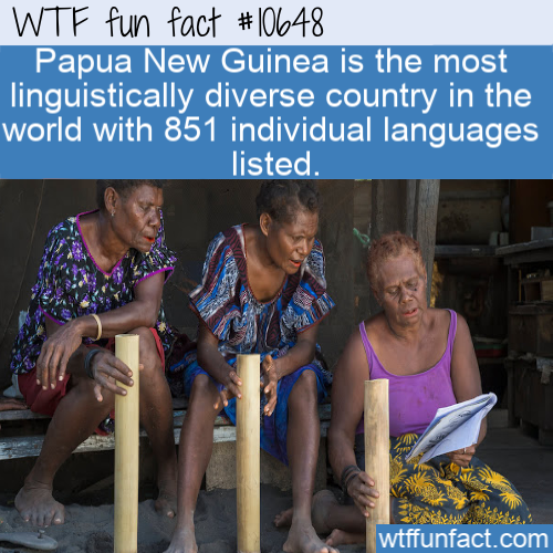 learning - Wtf fun fact Papua New Guinea is the most linguistically diverse country in the world with 851 individual languages listed. wtffunfact.com