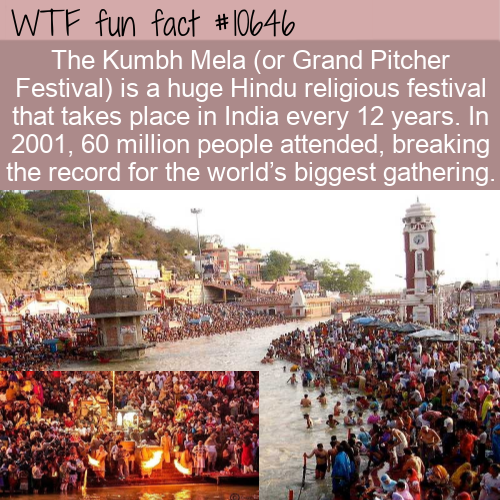 Wtf fun fact The Kumbh Mela or Grand Pitcher Festival is a huge Hindu religious festival that takes place in India every 12 years. In 2001, 60 million people attended, breaking the record for the world's biggest gathering.
