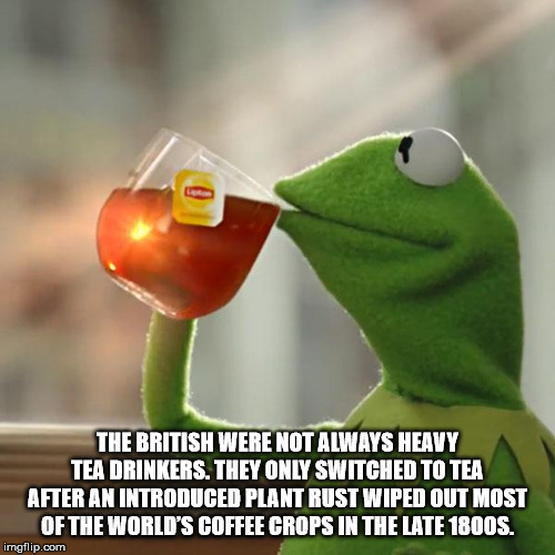 good life meme - The British Were Not Always Heavy Tea Drinkers. They Only Switched To Tea After An Introduced Plant Rust Wiped Out Most Of The World'S Coffee Crops In The Late 1800S. imgflip.com