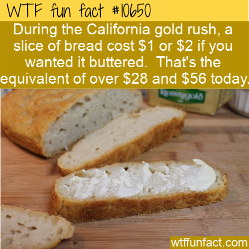 beer bread - Wtf fun fact During the California gold rush, a slice of bread cost $1 or $2 if you wanted it buttered. That's the equivalent of over $28 and $56 today wtffunfact.com