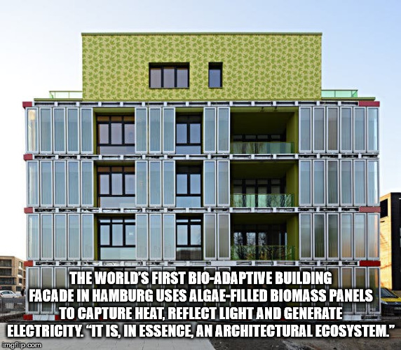 façade addressing fuel crisis building powered by algae - The World'S First BioAdaptive Building Facade In Hamburg Uses AlgaeFilled Biomass Panels L To Capture Heat, Reflect Light And Generate Electricity. It Is, In Essence An Architectural Ecosystem." im