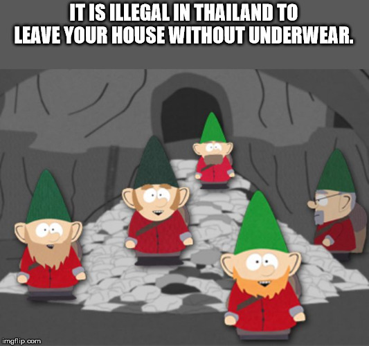 south park underpants gnomes - It Is Illegal In Thailand To Leave Your House Without Underwear. imgflip.com