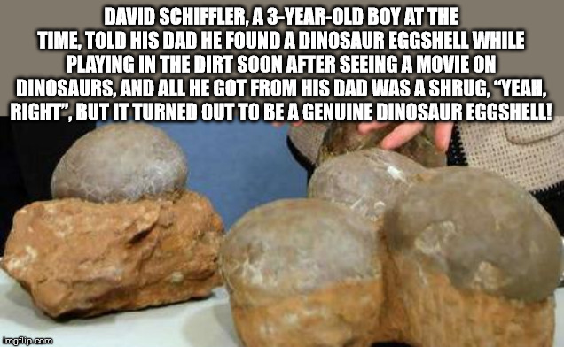 rock - David Schiffler. A 3YearOld Boy At The Time. Told His Dad He Found A Dinosaur Eggshell While Playing In The Dirt Soon After Seeing A Movie On Dinosaurs, And All He Got From His Dad Was A Shrug. Yeah. Right". But It Turned Out To Be A Genuine Dinosa