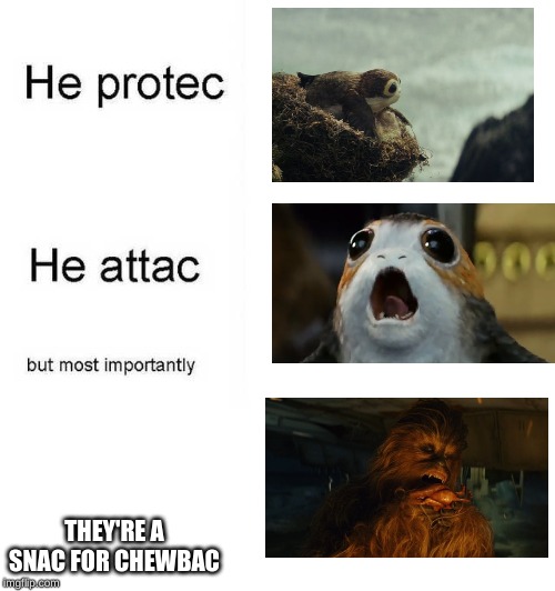 he protec he attac but most importantly he blac - He protec He attac but most importantly They'Re A Snac For Chewbac imgflip.com