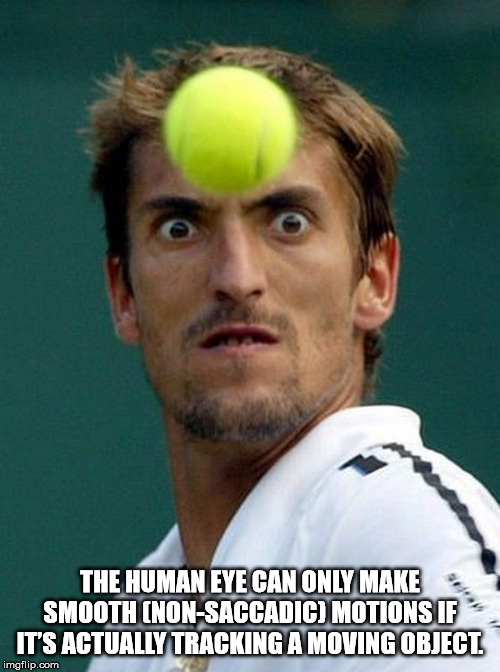 funny tennis - The Human Eye Can Only Makes Smooth NonSaccadic Motionsifs It'S Actually Tracking A Moving Object imgflip.com