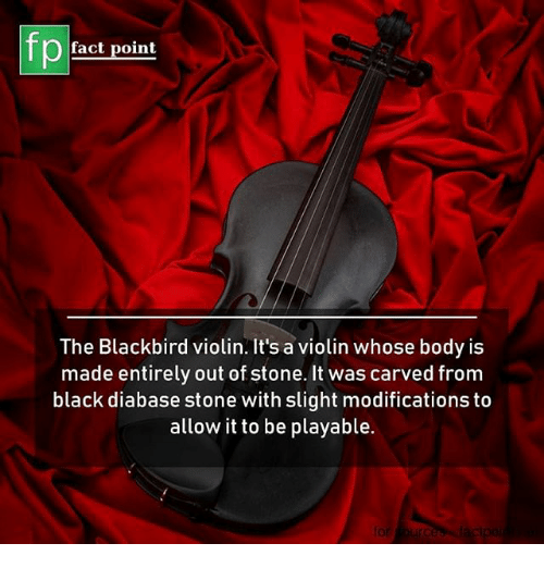 blackbird violin - fp fact point The Blackbird violin. It's a violin whose body is made entirely out of stone. It was carved from black diabase stone with slight modifications to allow it to be playable.
