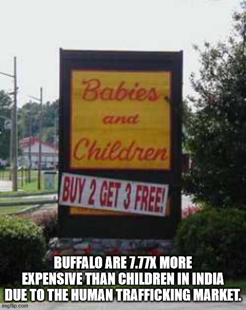 funny signs billboards - Babies and Children 11 Buy 2 Cet 3 Free! Buffalo Are 7.77X More Expensive Than Children In India Due To The Human Trafficking Market. imgflip.com