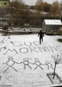 good morning snow funny -