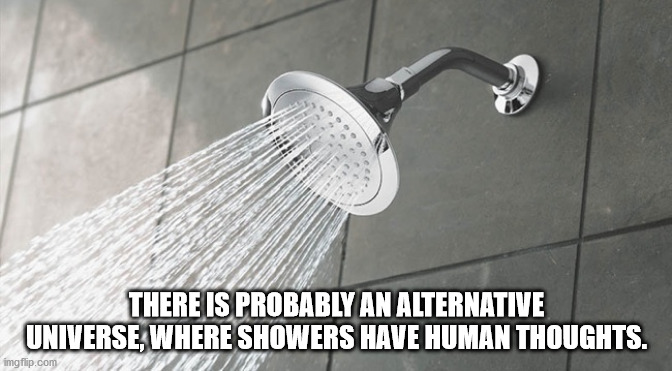 shower thought meme - There Is Probably An Alternative Universe, Where Showers Have Human Thoughts. imgflip.com