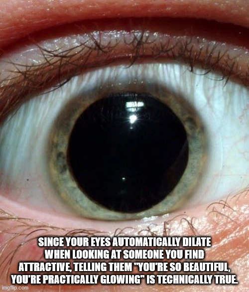 dilated pupils meth - Since Your Eyes Automatically Dilate When Looking At Someone You Find Attractive Telling Them You'Re So Beautiful You'Re Practically Glowing" Is Technically True imgflip.com