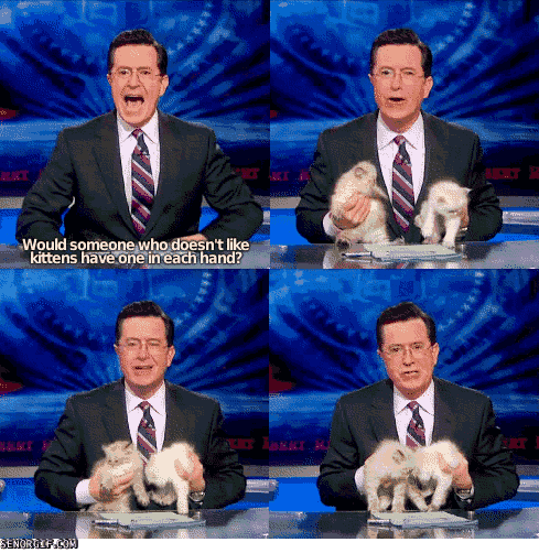 television program - Would someone who doesn't kittens have one in each hand? Senorge.Com
