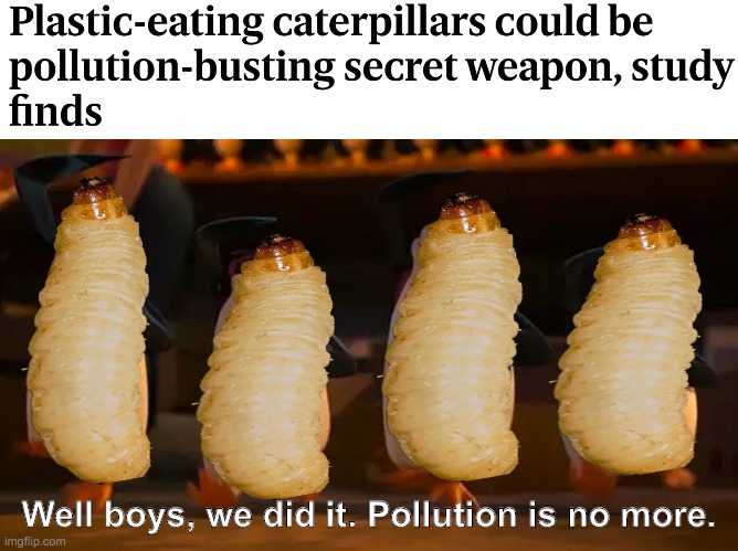 membrane winged insect - Plasticeating caterpillars could be pollutionbusting secret weapon, study finds Well boys, we did it. Pollution is no more. imgflip.com