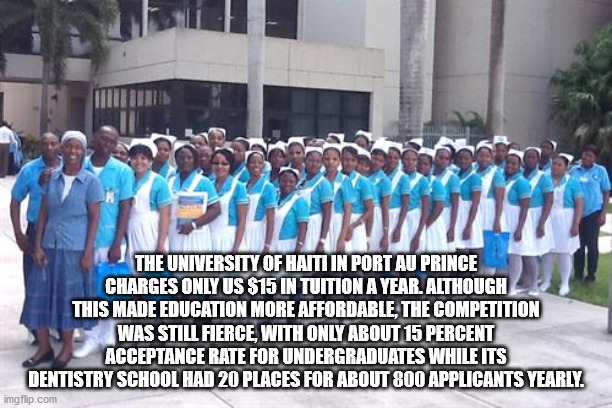 harry potter macros - The University Of Haiti In Port Au Prince Charges Only Us $15 In Tuition A Year. Although This Made Education More Affordable, The Competition Was Still Fierce With Only About 15 Percent Acceptance Rate For Undergraduates While Its D