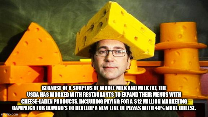 cheesehead meme - Because Of A Surplus Of Whole Milk And Milk Fat, The Usda Has Worked With Restaurants To Expand Their Menus With CheeseLaden Products, Including Paying For A $12 Million Marketing Campaign For Domino'S To Develop A New Line Of Pizzas Wit