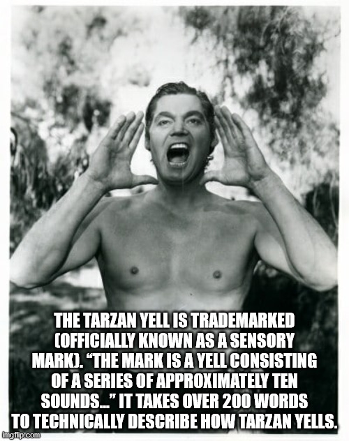 The Tarzan Yell Is Trademarked Officially Known As A Sensory Mark. "The Mark Is A Yell Consisting Of A Series Of Approximately Ten Sounds..." It Takes Over 200 Words To Technically Describe How Tarzan Yells. Imgflip.com