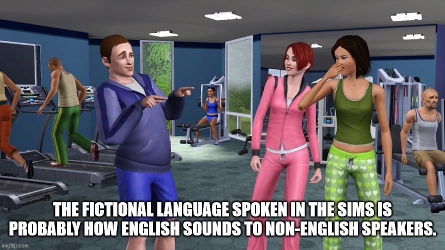 sims 3 people - The Fictional Language Spoken In The Sims Is Probably How English Sounds To NonEnglish Speakers. imgflip.com
