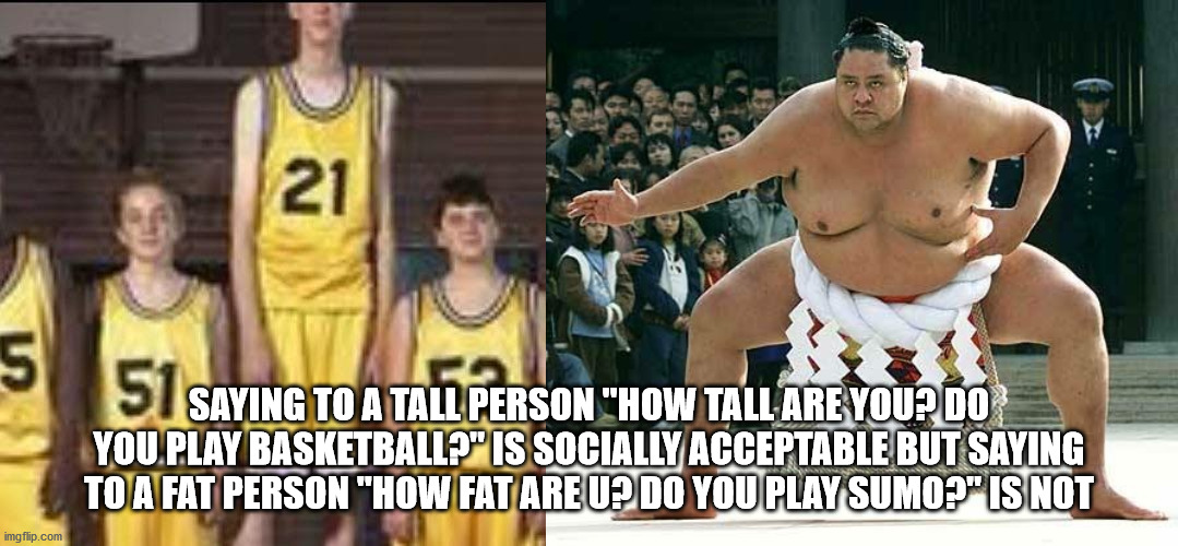 tall guy meme - Saying To A Tall Person "How Tall Are You? Do You.Play Basketballp" Is Socially Acceptable But Saying To A Fat Person "How Fat Areu? Do You Play Sumo?" Is Not imgflip.com