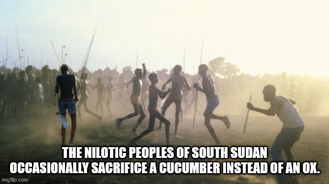people - The Ni Lotic Peoples Of South Sudan Occasionally Sacrifice A Cucumber Instead Of An Ox. imgflip.com