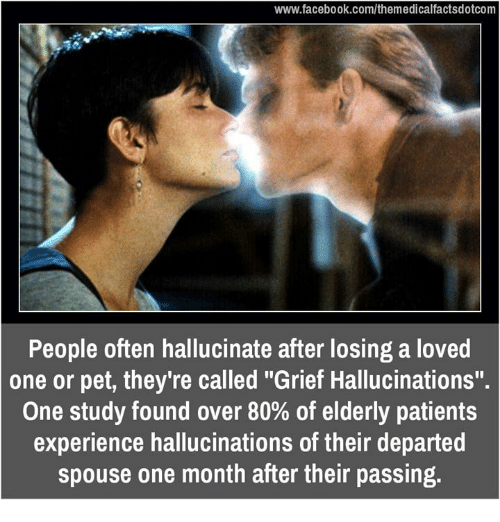 ghost kiss - People often hallucinate after losing a loved one or pet, they're called "Grief Hallucinations". One study found over 80% of elderly patients experience hallucinations of their departed spouse one month after their passing.