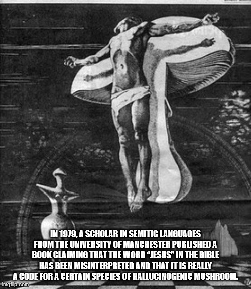 In 1979. A Scholar In Semitic Languages From The University Of Manchester Published A Book Claiming That The Word "Jesus" In The Bible Has Been Misinterpreted And That It Is Really A Code For A Certain Species Of Hallucinogenic Mushroom. imgflip.com