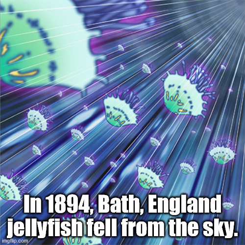 In 1894, Bath, England jellyfish fell from the sky. imgflip.com