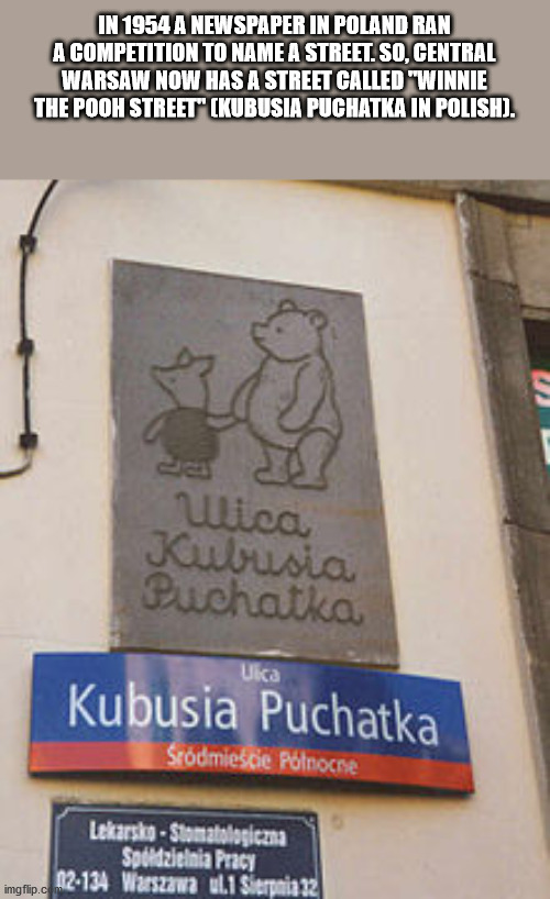 ulica kubusia puchatka