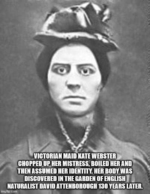 kate webster - Victorian Maid Kate Webster Chopped Up Her Mistress, Boiled Her And Then Assumed Her Identity. Her Body Was Discovered In The Garden Of English Naturalist David Attenborough 130 Years Later. imgflip.com