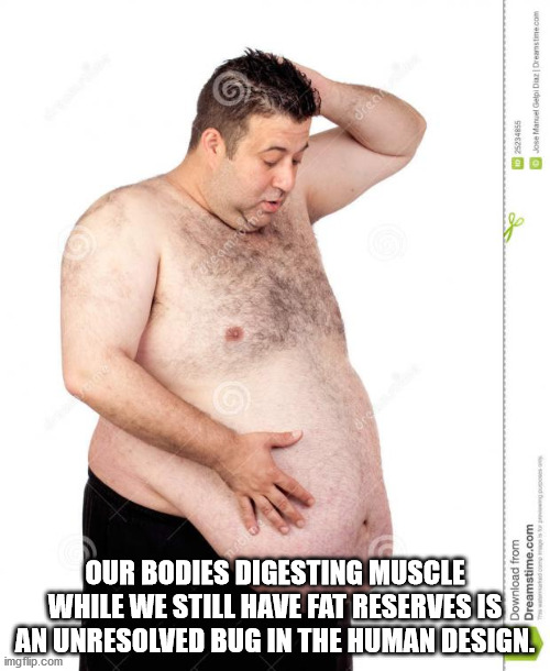 fat man poster - Our Bodies Digesting Muscle While We Still Have Fat Reservesis Anunresolved Bug In The Human Design. Download from Dreamstime.com imgiip.com