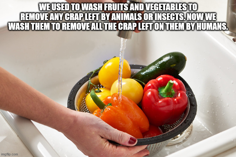 We Used To Wash Fruits And Vegetables To Remove Any Crap Left By Animals Or Insects. Now We Wash Them To Remove All The Crap Left On Them By Humans. imgflip.com