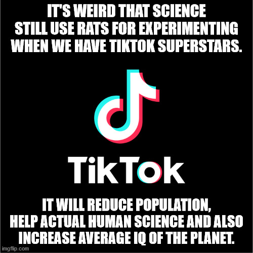 parade - It'S Weird That Science Still Use Rats For Experimenting When We Have Tiktok Superstars. TikTok It Will Reduce Population, Help Actual Human Science And Also Increase Average Iq Of The Planet. imgflip.com