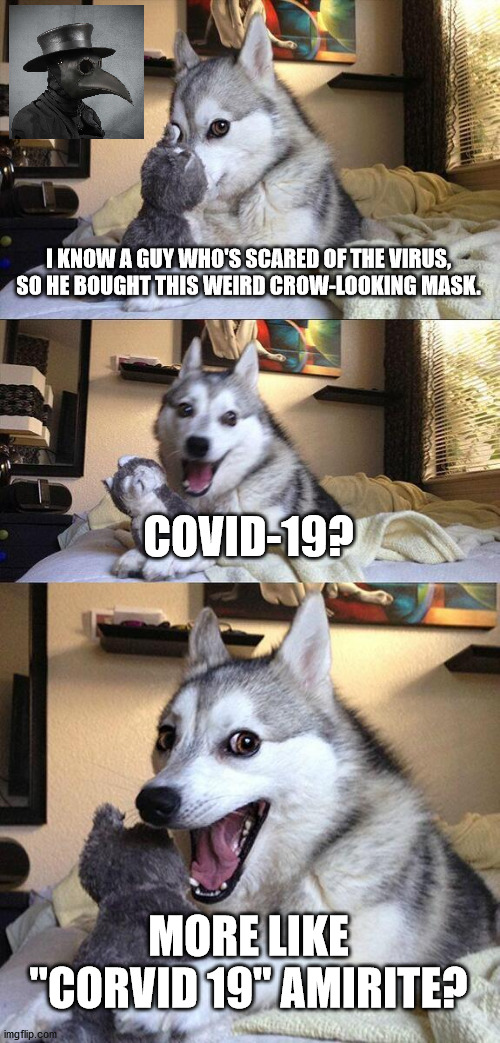 dog meme joke - I Know A Guy Who'S Scared Of The Virus, So He Bought This Weird CrowLooking Mask. Covid19 More "Corvid 19"Amirite? imgflip.com