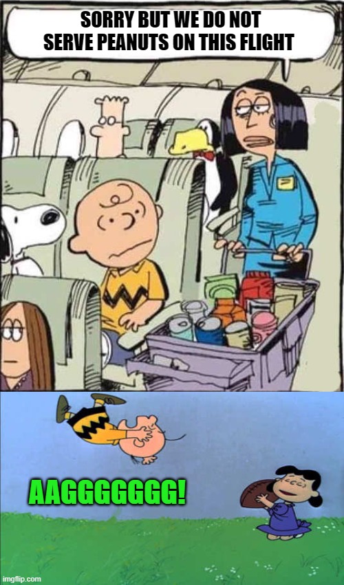 snoopy puns - Sorry But We Do Not Serve Peanuts On This Flight aurer Aaggggggg! imgflip.com