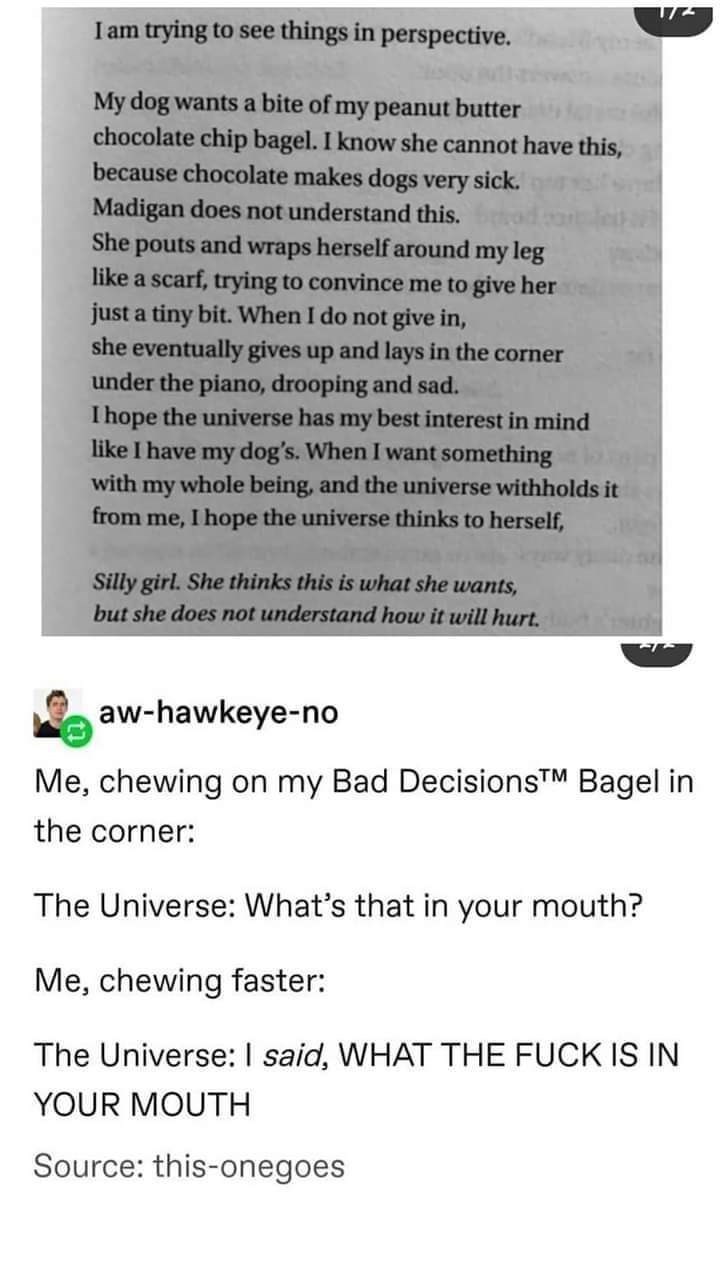 document - I am trying to see things in perspective. My dog wants a bite of my peanut butter chocolate chip bagel. I know she cannot have this, because chocolate makes dogs very sick. Madigan does not understand this. She pouts and wraps herself around my