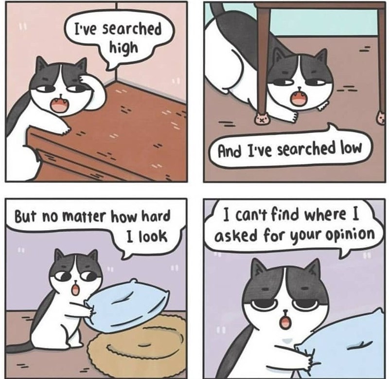 cat comic - I've searched high And I've searched low But no matter how hard I look Vi can't find where I I asked for your opinion