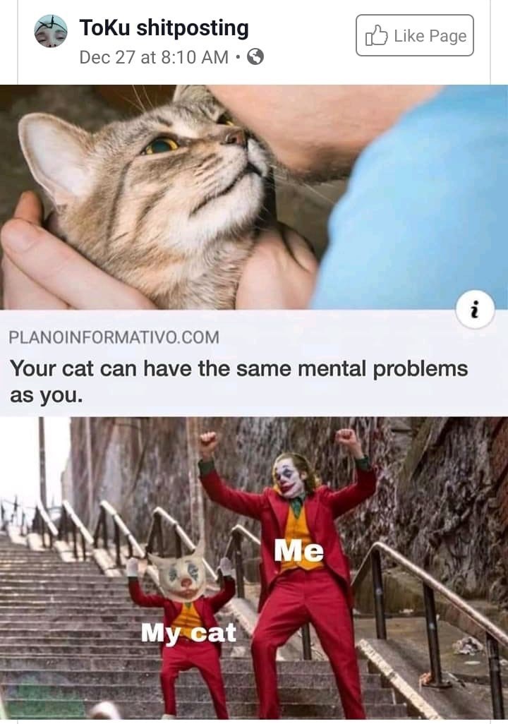 your cat can have the same mental problems as you - do ToKu shitposting Dec 27 at Page Planoinformativo.Com Your cat can have the same mental problems as you. Me My cat