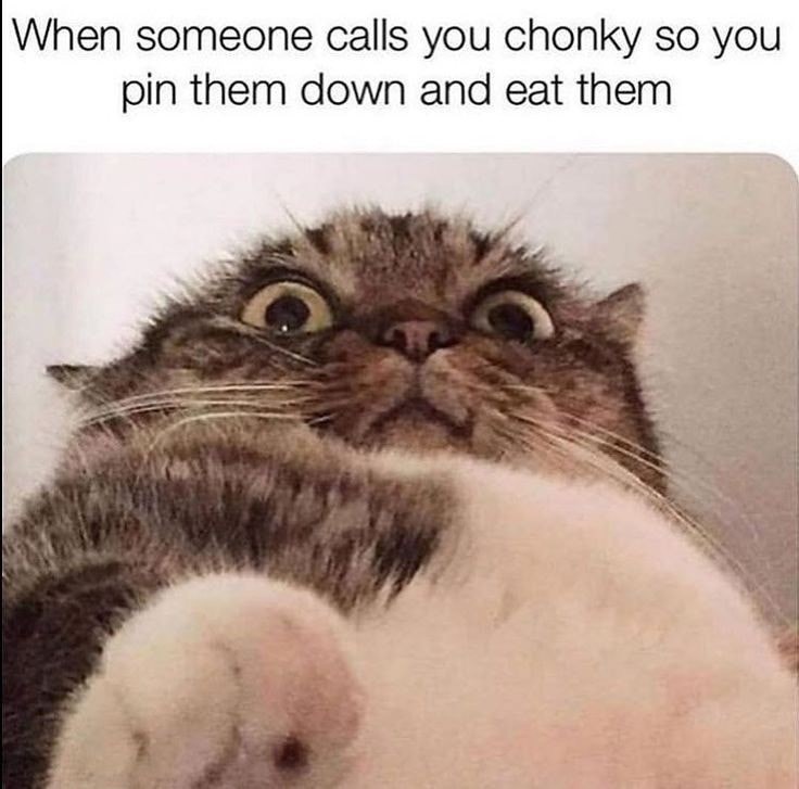 very funny - When someone calls you chonky so you pin them down and eat them