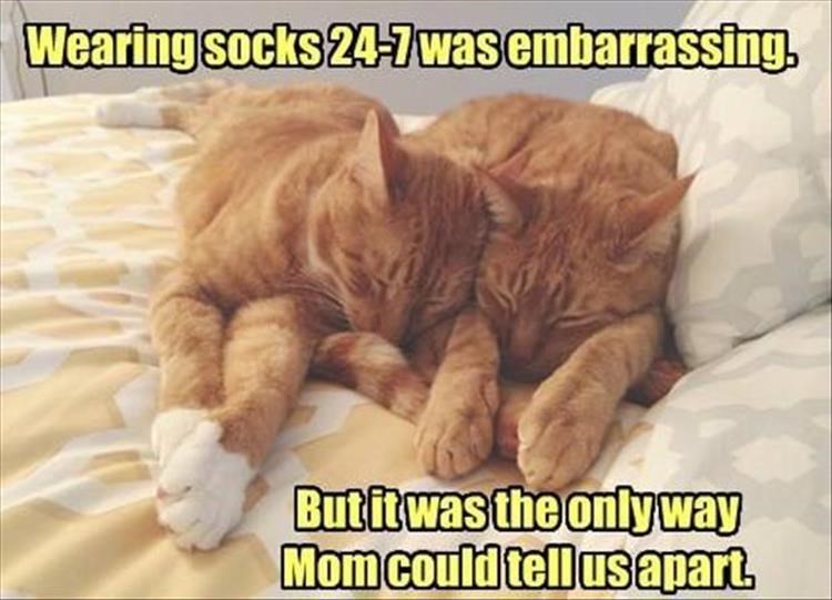 funny - Wearing socks 247 was embarrassing. But it was the only way Mom could tell us apart